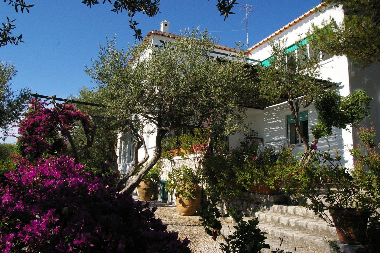 Il Rifugio B&B Capri Anacapri  Dış mekan fotoğraf