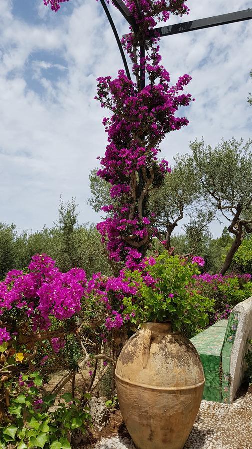 Il Rifugio B&B Capri Anacapri  Dış mekan fotoğraf