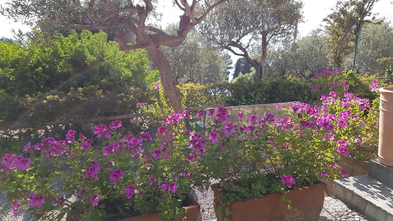 Il Rifugio B&B Capri Anacapri  Dış mekan fotoğraf
